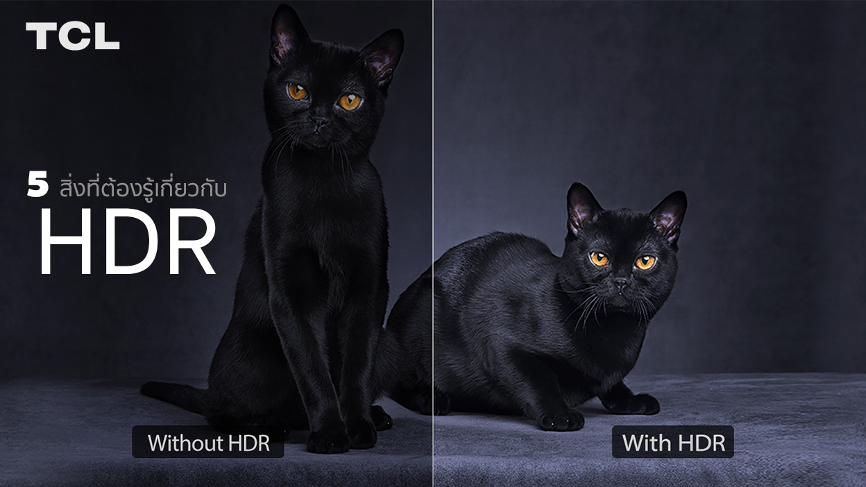 5 สิ่งที่ต้องรู้เกี่ยวกับ High-Dynamic Range